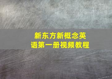 新东方新概念英语第一册视频教程