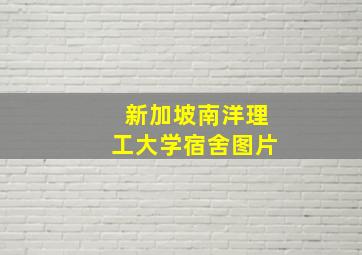 新加坡南洋理工大学宿舍图片