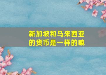 新加坡和马来西亚的货币是一样的嘛