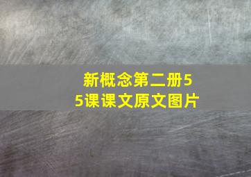 新概念第二册55课课文原文图片