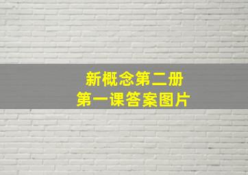 新概念第二册第一课答案图片