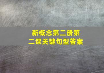 新概念第二册第二课关键句型答案