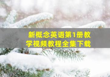 新概念英语第1册教学视频教程全集下载