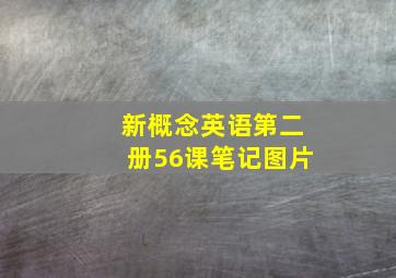 新概念英语第二册56课笔记图片