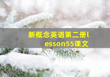 新概念英语第二册lesson55课文