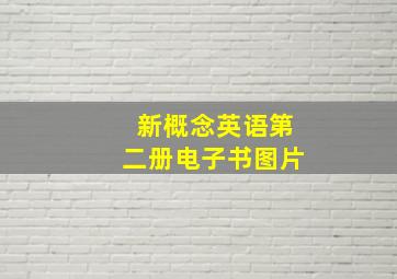 新概念英语第二册电子书图片