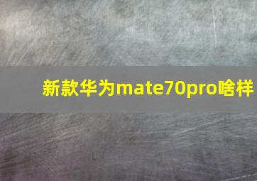 新款华为mate70pro啥样