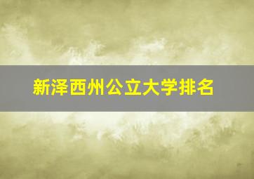 新泽西州公立大学排名