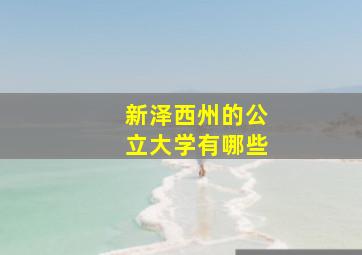 新泽西州的公立大学有哪些