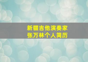 新疆吉他演奏家张万林个人简历