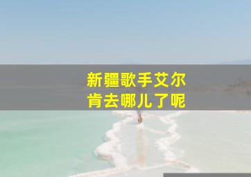 新疆歌手艾尔肯去哪儿了呢