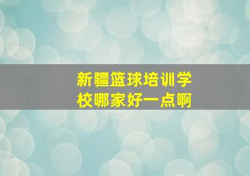 新疆篮球培训学校哪家好一点啊