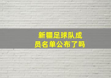 新疆足球队成员名单公布了吗