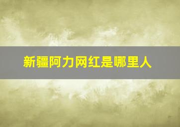 新疆阿力网红是哪里人