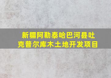 新疆阿勒泰哈巴河县吐克普尔库木土地开发项目