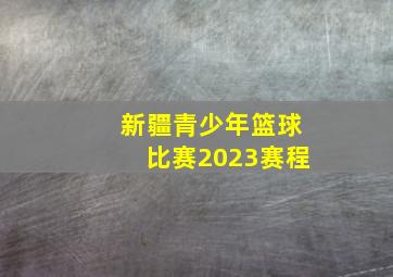 新疆青少年篮球比赛2023赛程