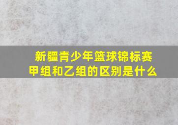 新疆青少年篮球锦标赛甲组和乙组的区别是什么