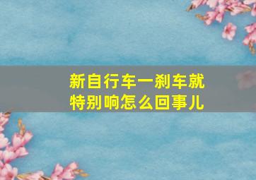 新自行车一刹车就特别响怎么回事儿