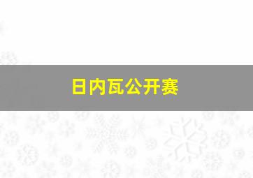 日内瓦公开赛