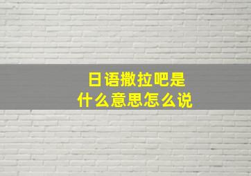 日语撒拉吧是什么意思怎么说