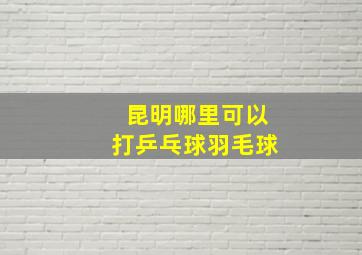 昆明哪里可以打乒乓球羽毛球