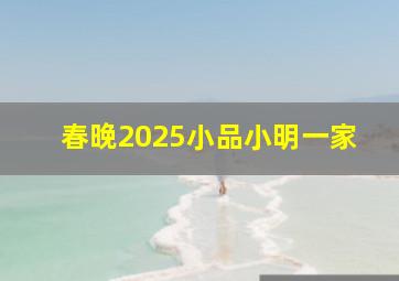 春晚2025小品小明一家