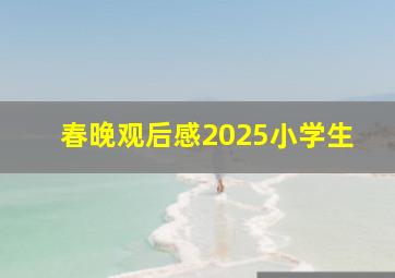 春晚观后感2025小学生