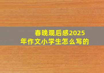 春晚观后感2025年作文小学生怎么写的