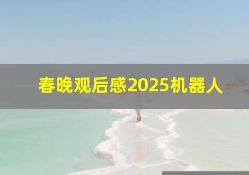 春晚观后感2025机器人