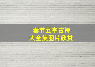 春节五字古诗大全集图片欣赏