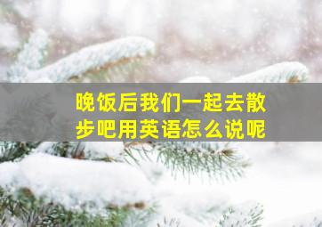 晚饭后我们一起去散步吧用英语怎么说呢