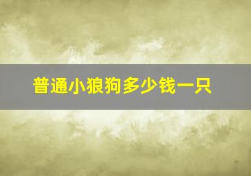 普通小狼狗多少钱一只