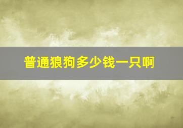 普通狼狗多少钱一只啊