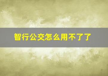 智行公交怎么用不了了