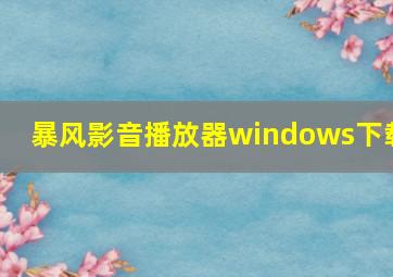 暴风影音播放器windows下载