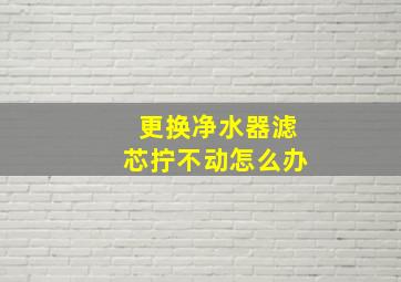 更换净水器滤芯拧不动怎么办