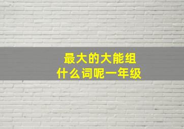 最大的大能组什么词呢一年级