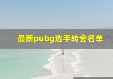 最新pubg选手转会名单