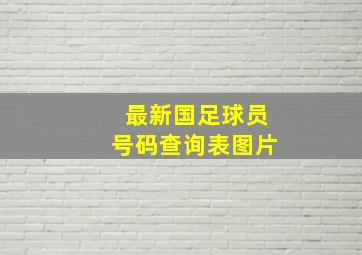 最新国足球员号码查询表图片