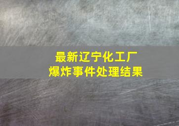 最新辽宁化工厂爆炸事件处理结果