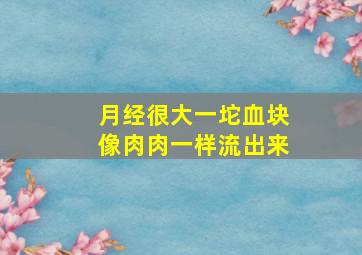 月经很大一坨血块像肉肉一样流出来