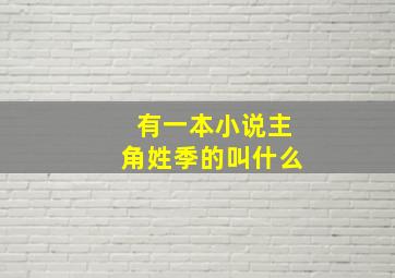 有一本小说主角姓季的叫什么