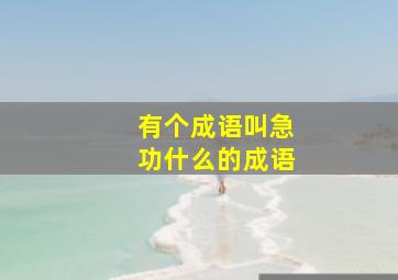 有个成语叫急功什么的成语