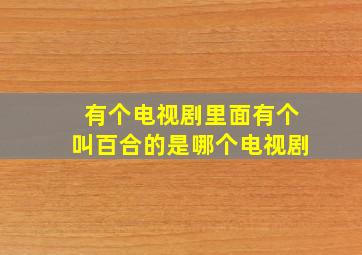 有个电视剧里面有个叫百合的是哪个电视剧