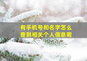 有手机号和名字怎么查到相关个人信息呢