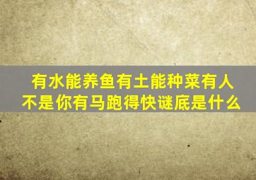 有水能养鱼有土能种菜有人不是你有马跑得快谜底是什么