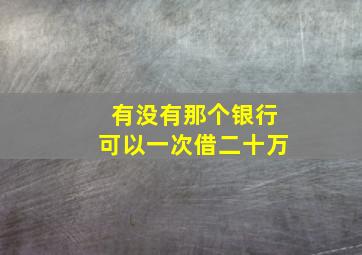 有没有那个银行可以一次借二十万