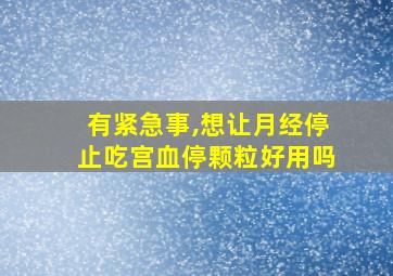 有紧急事,想让月经停止吃宫血停颗粒好用吗