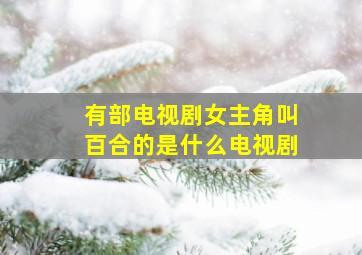 有部电视剧女主角叫百合的是什么电视剧