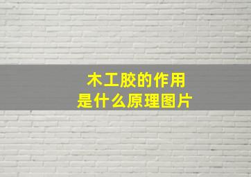 木工胶的作用是什么原理图片